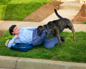 Dog attacking Postal employee